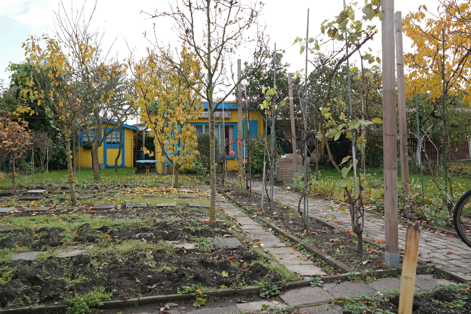 Mein Garten im Herbst 2014